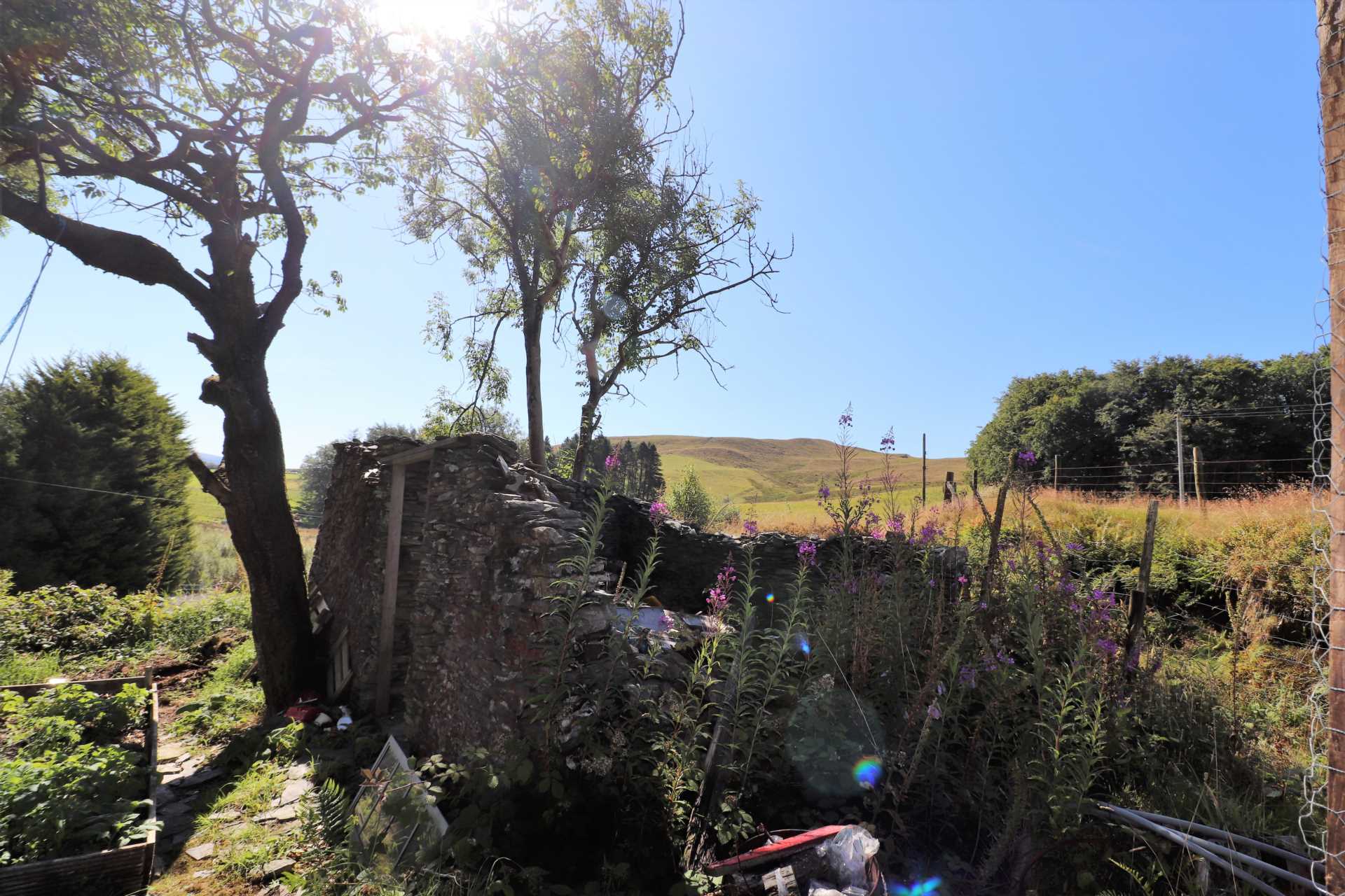 Llywernog, Ponterwyd, Image 16