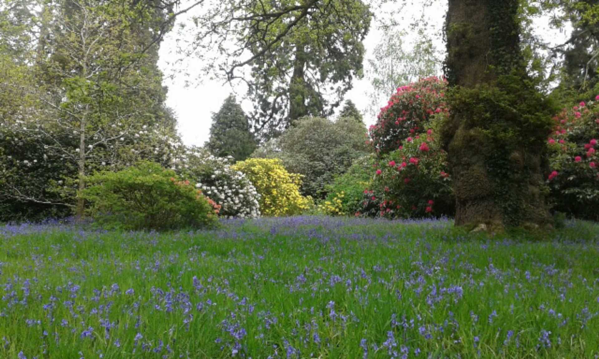 Crosswood Park, Trawscoed,, Image 24