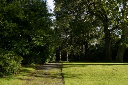 Crosswood Park, Trawscoed,, Image 27