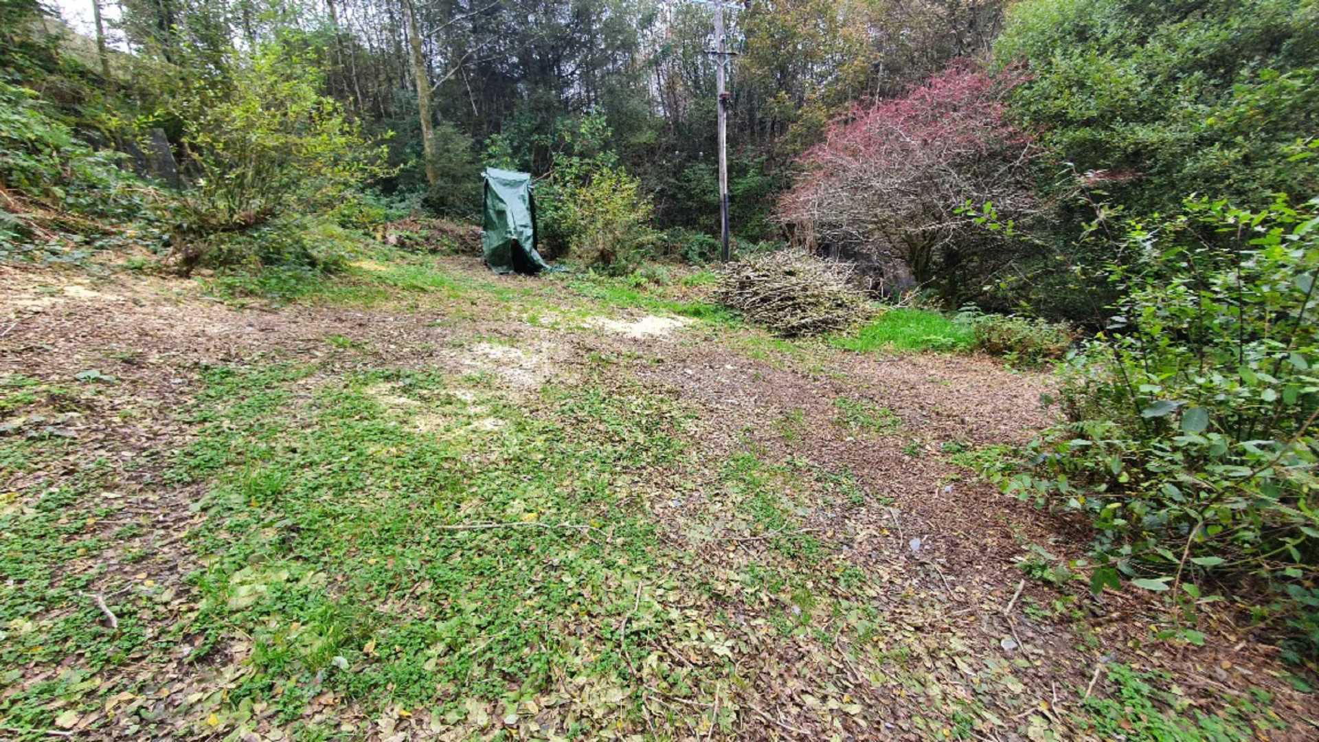 Upper Corris, Machynlleth, Image 18