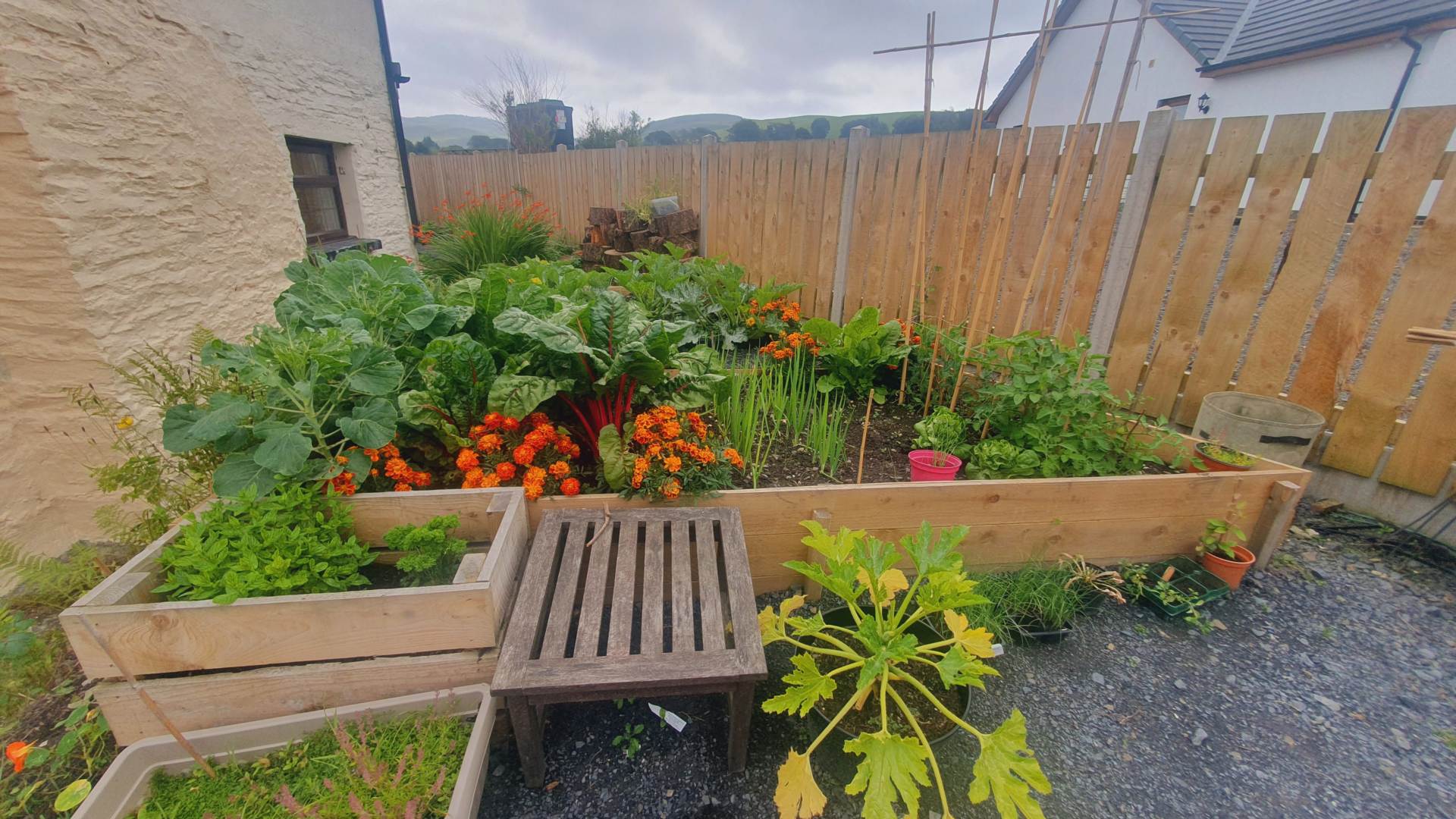 and, Image 13