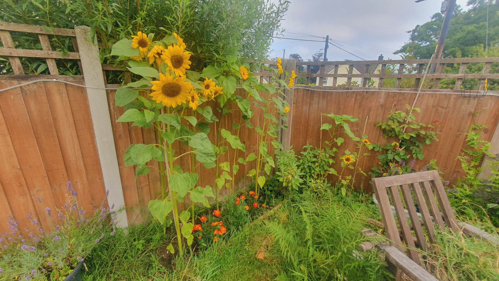 and, Image 14