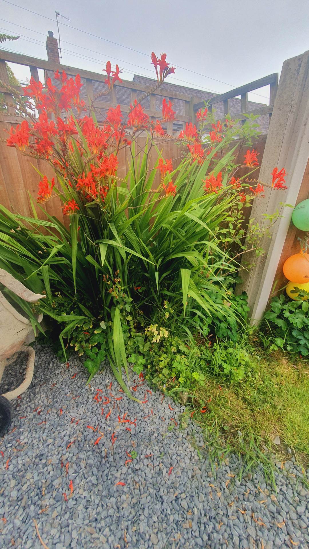 and, Image 29
