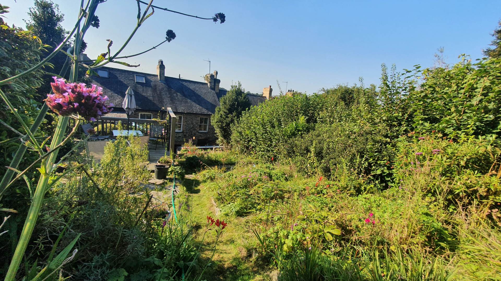Taliesin, Machynlleth, Image 15