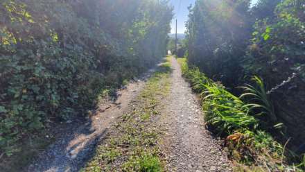 Taliesin, Machynlleth, Image 14