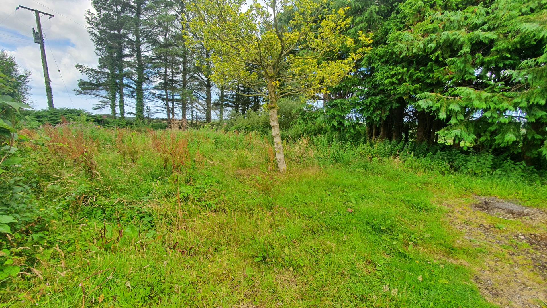 Cross Inn, Llanon, Image 14