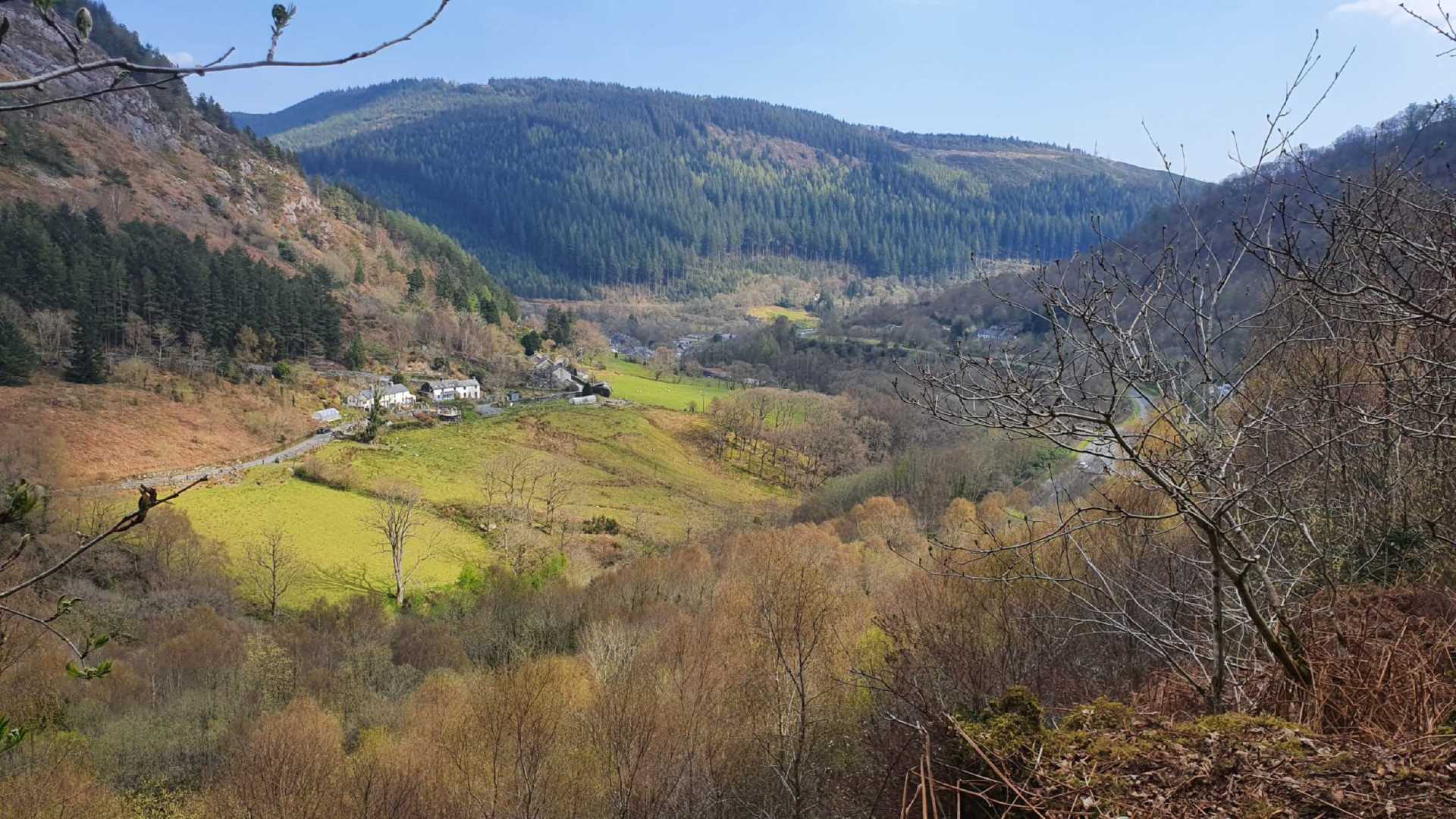 Upper Corris, Machynlleth, Image 12