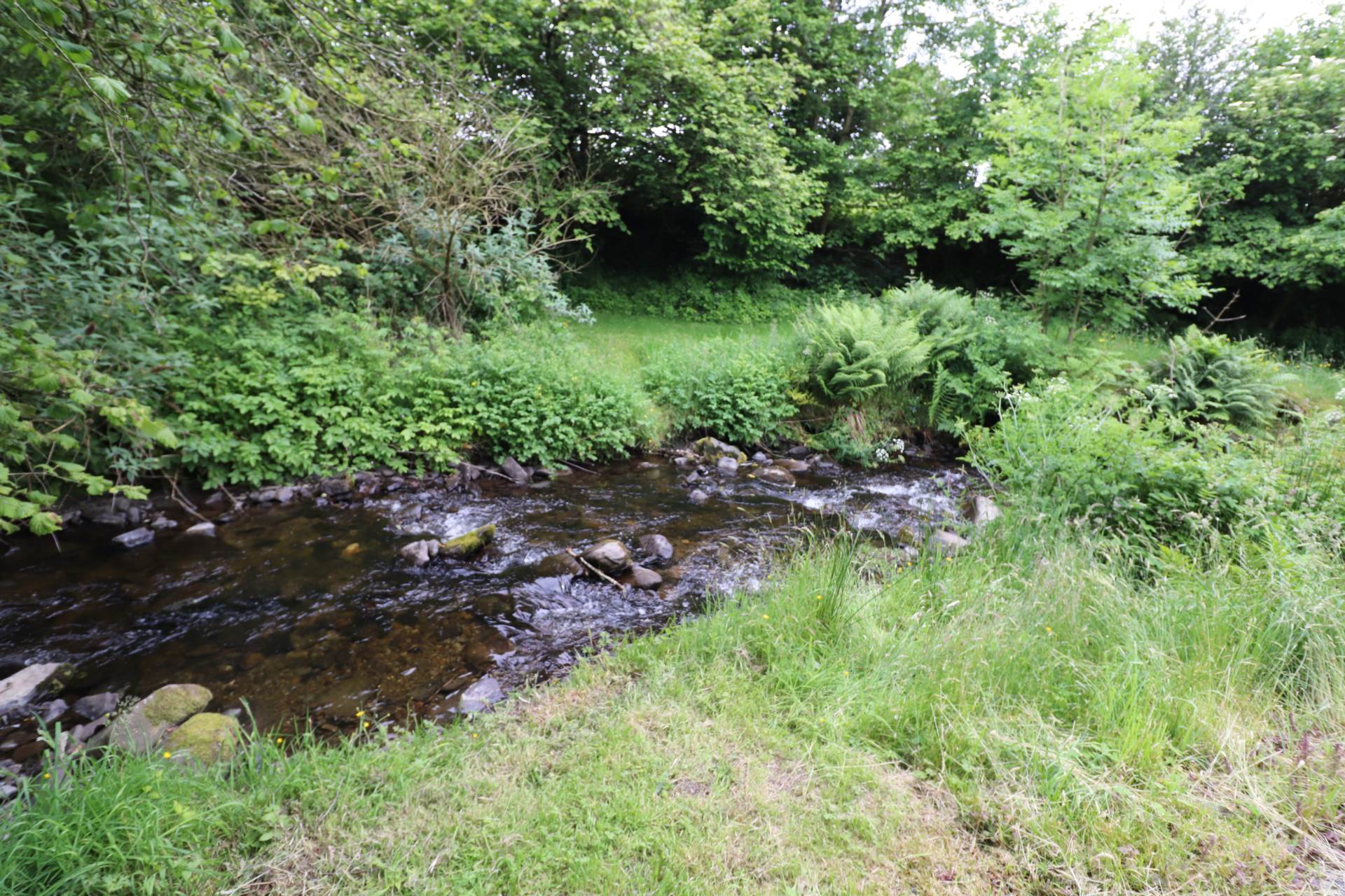 Cwmcarfan, Llanddewi Road, Image 25