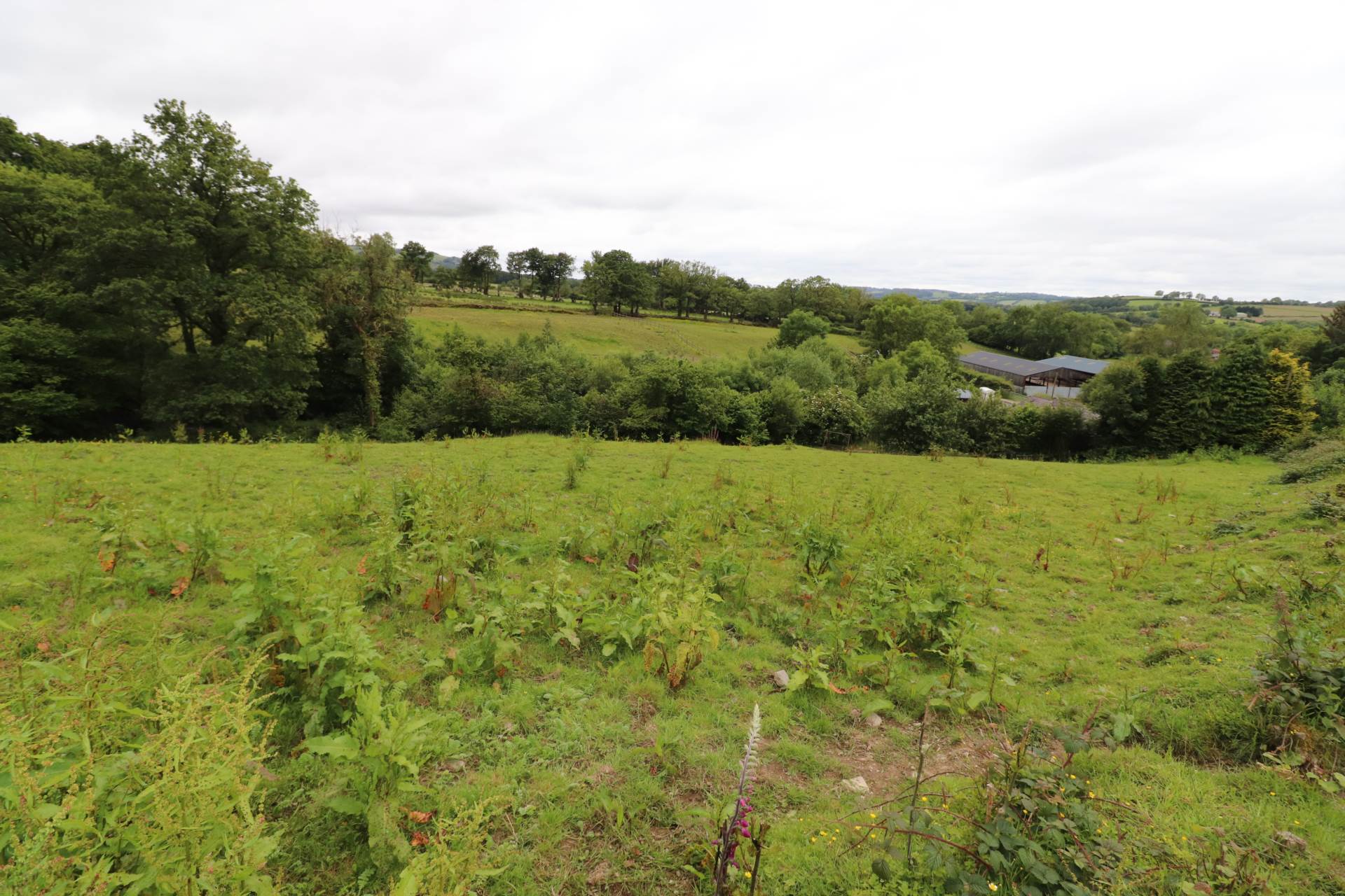 Cwmcarfan, Llanddewi Road, Image 26