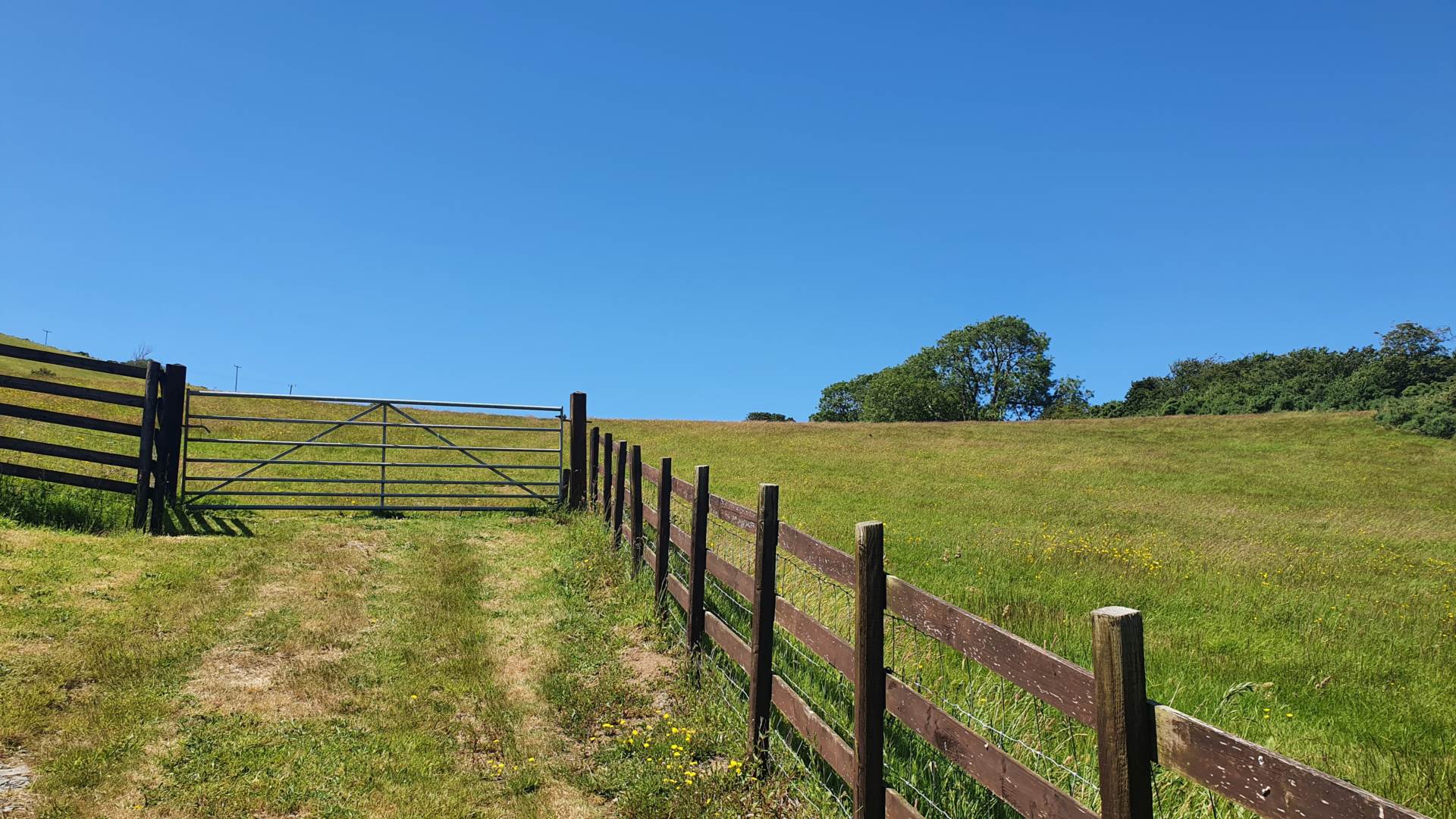 Llanfarian, Aberystwyth, Image 29