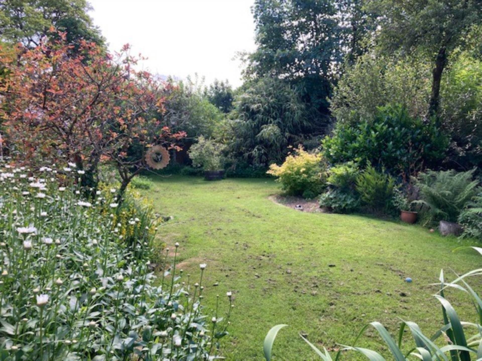 Penuwch, Image 16