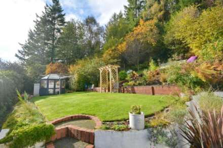 Dinas Mawddwy, Machynlleth, Image 16