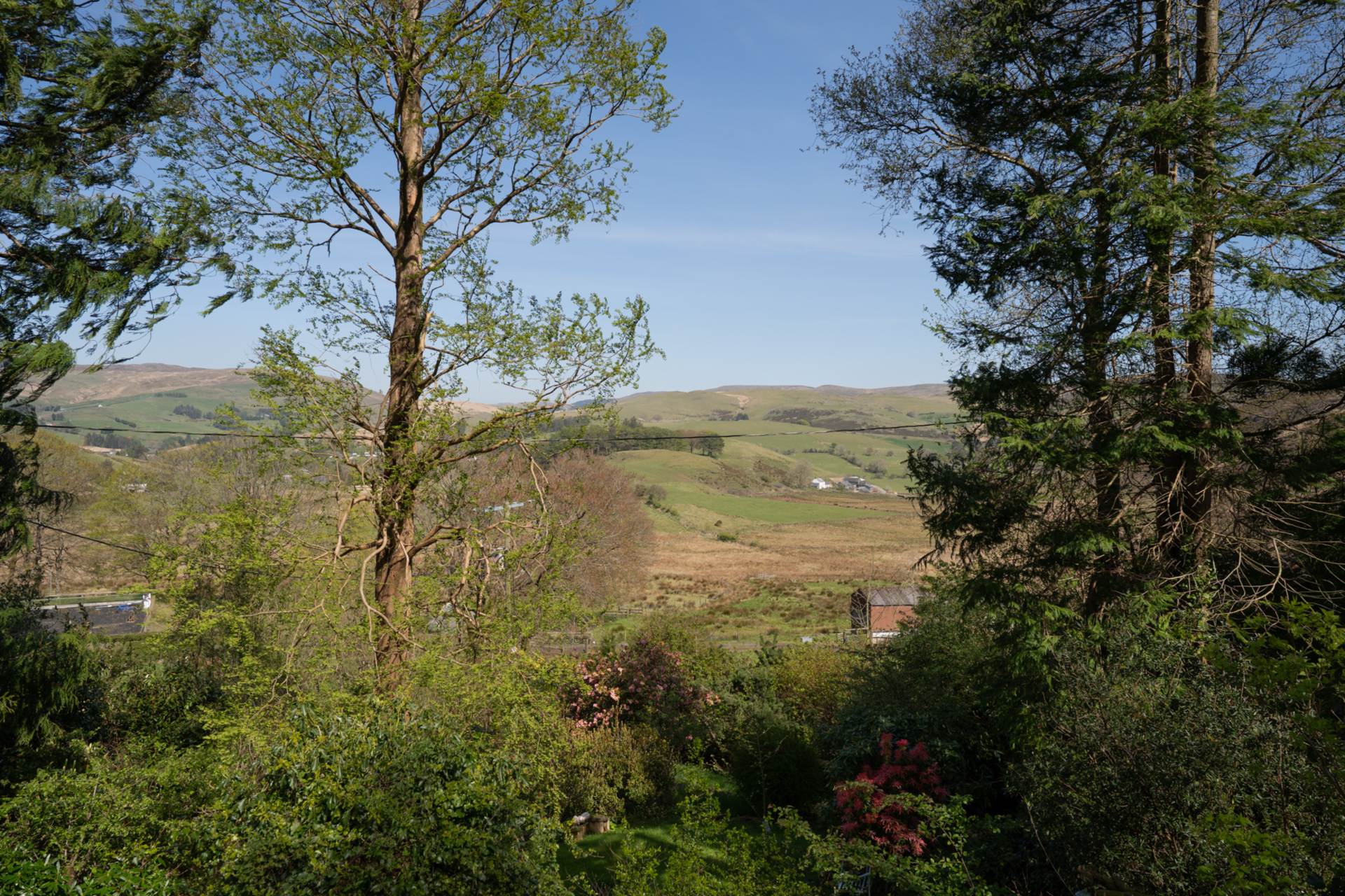 Ystumtuen, Aberystwyth, Image 30