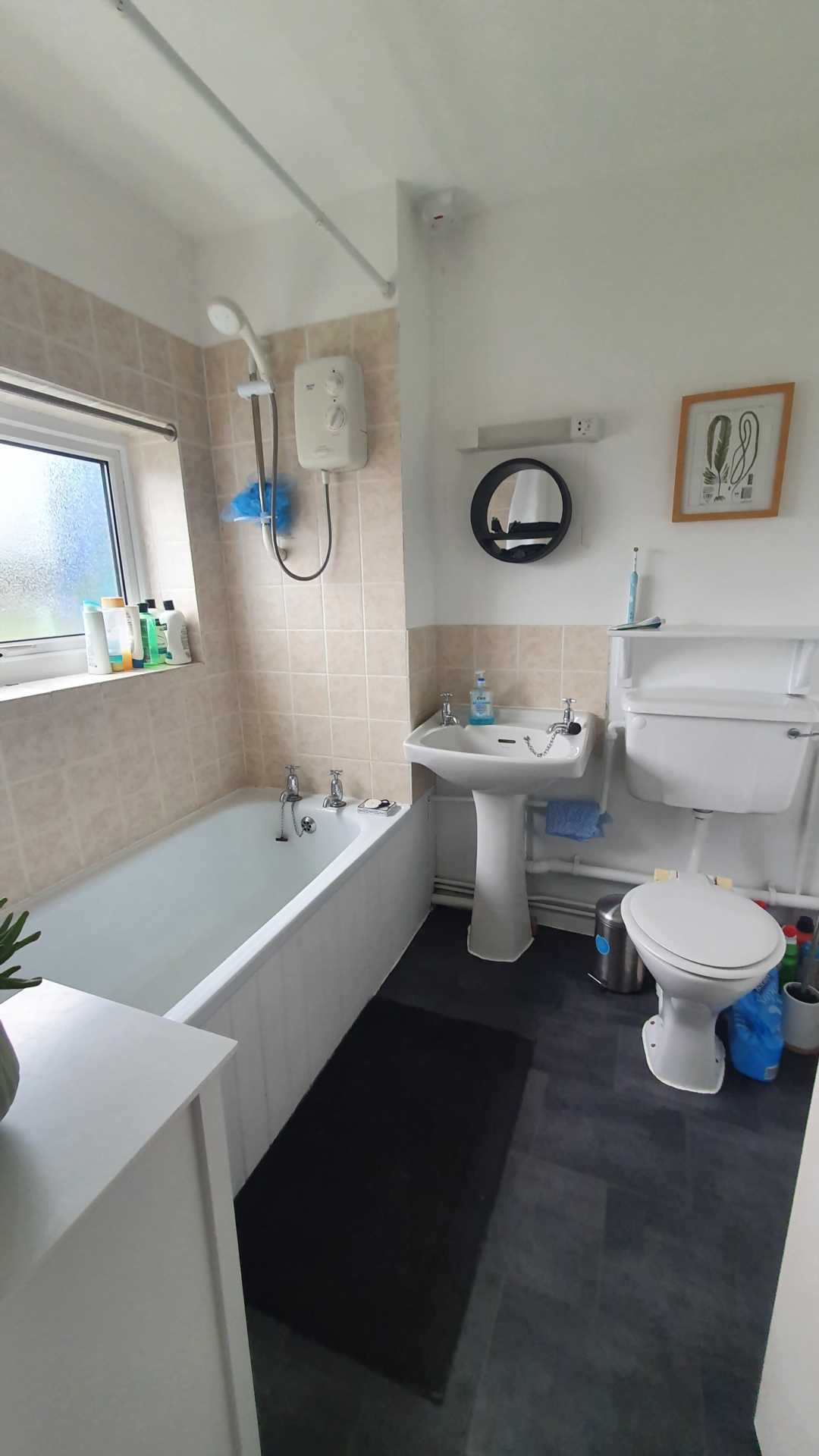 Cae Gwylan, Borth, Image 11