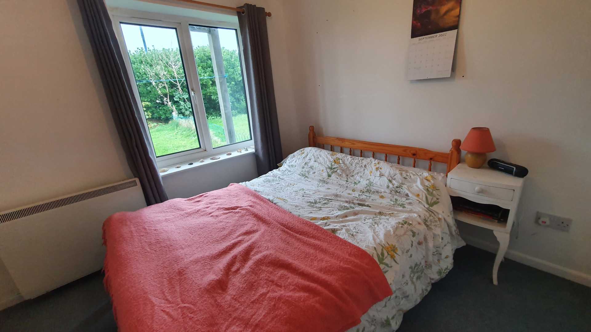 Cae Gwylan, Borth, Image 13