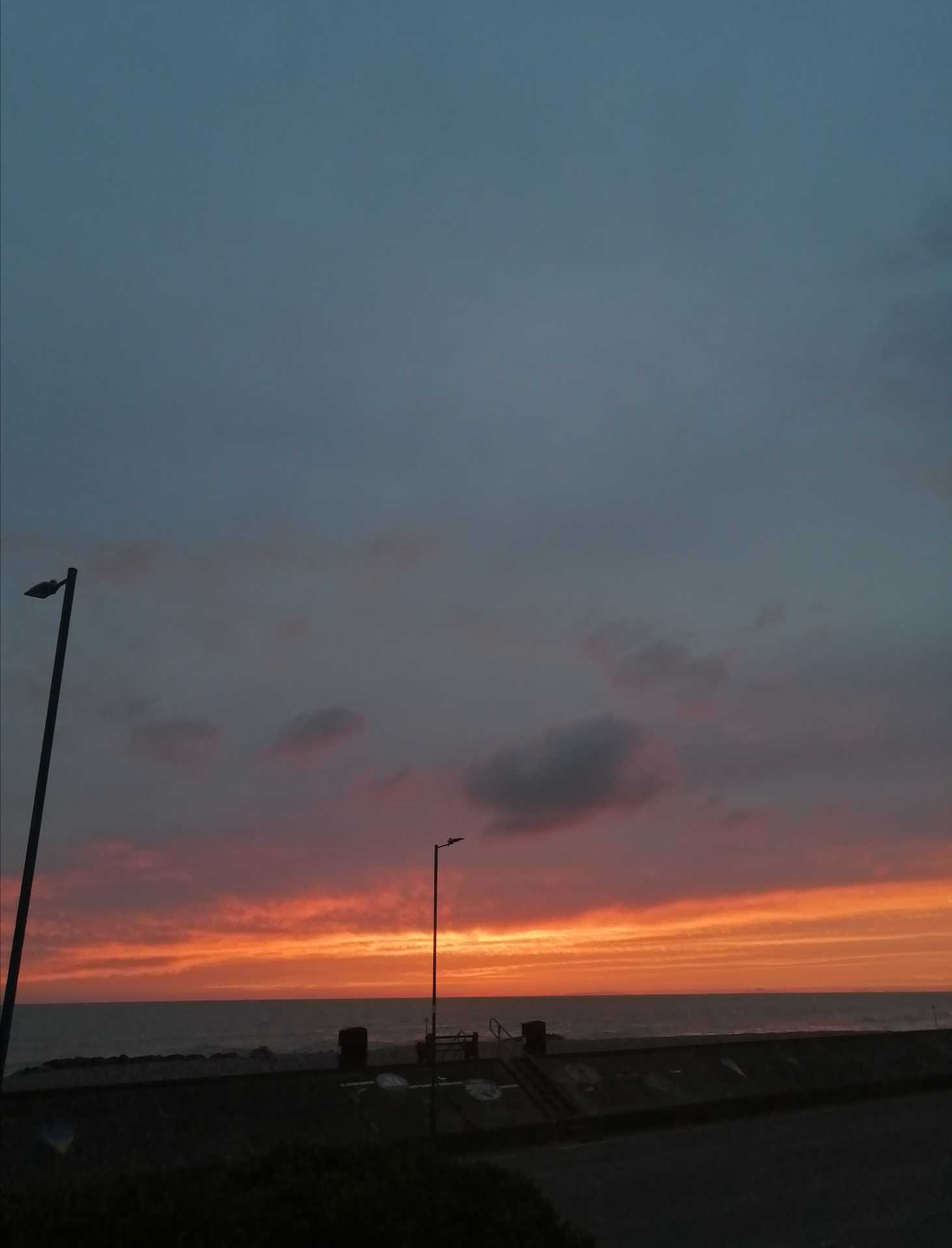 Cae Gwylan, Borth, Image 15