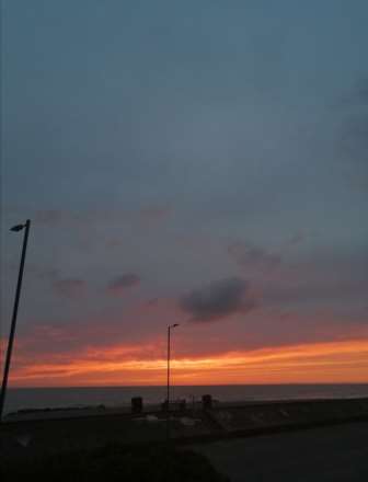 Cae Gwylan, Borth, Image 15