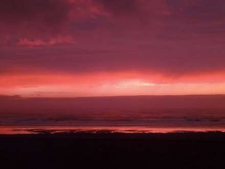 Cae Gwylan, Borth, Image 17