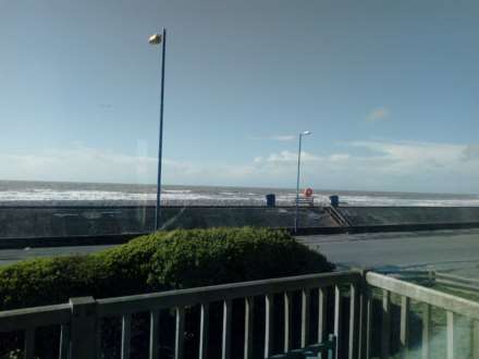 Cae Gwylan, Borth, Image 18