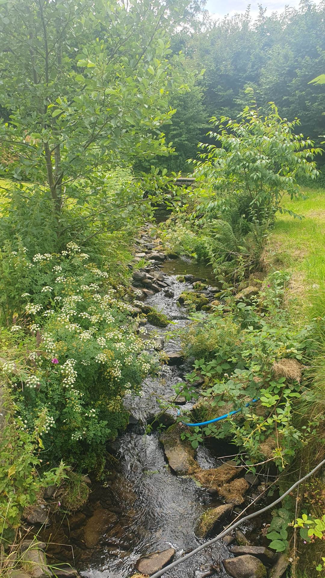 Cwmcarfan, Llanddewi Road, Image 38
