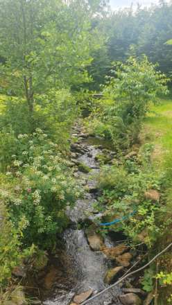 Cwmcarfan, Llanddewi Road, Image 38