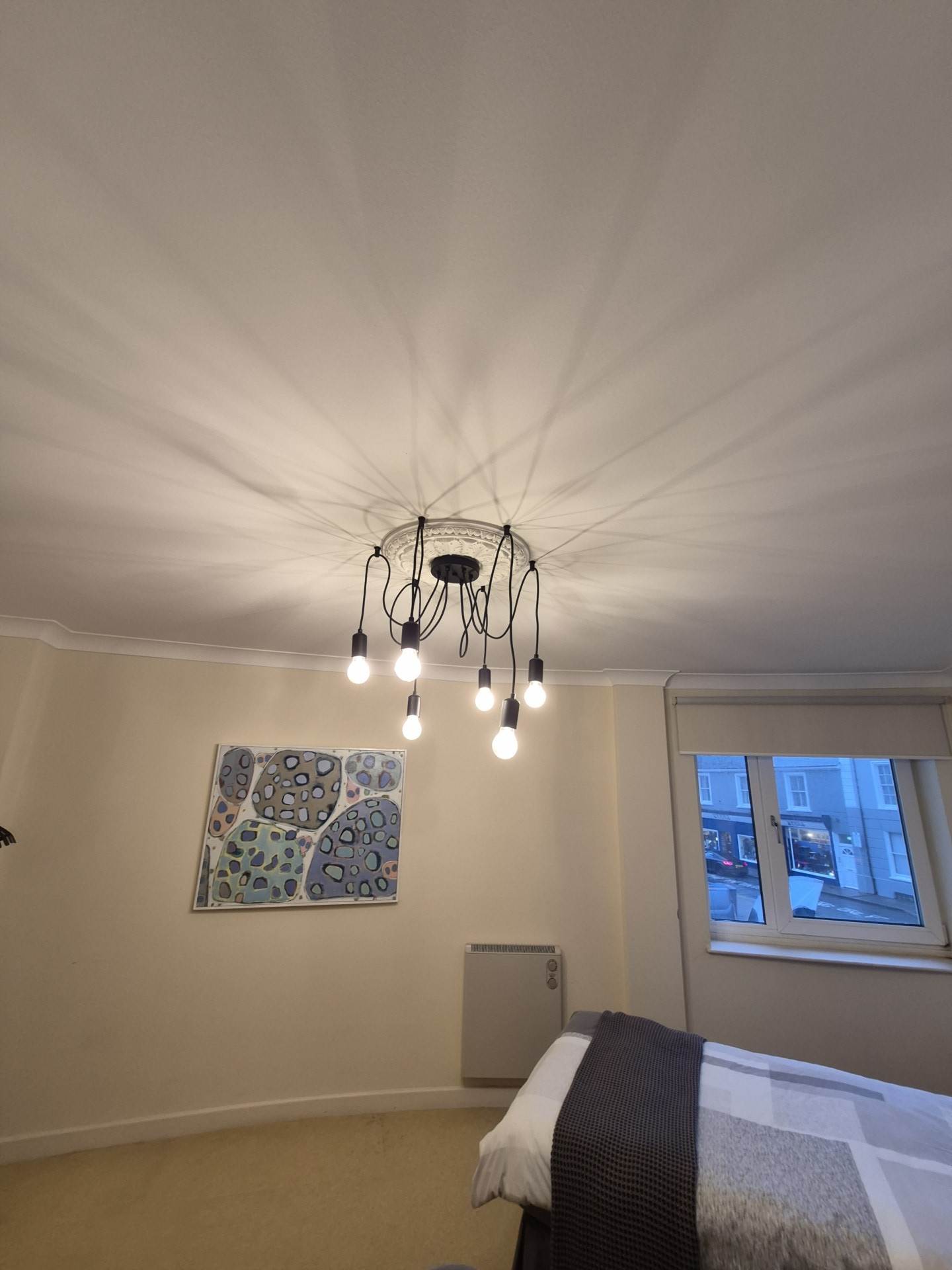 Llys Y Brenin, Aberystwyth, Image 11