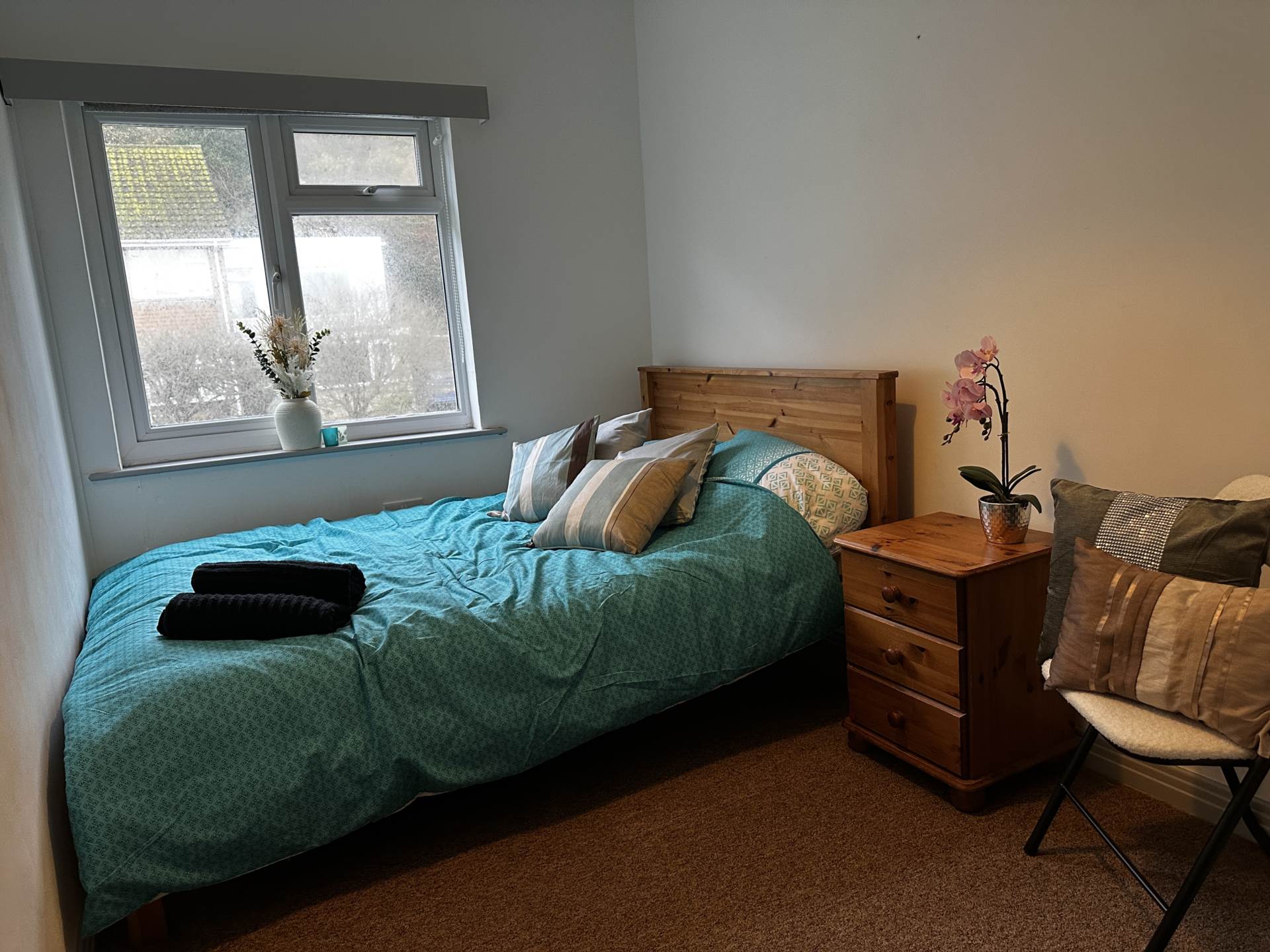 Danycoed, Penglais, Image 12