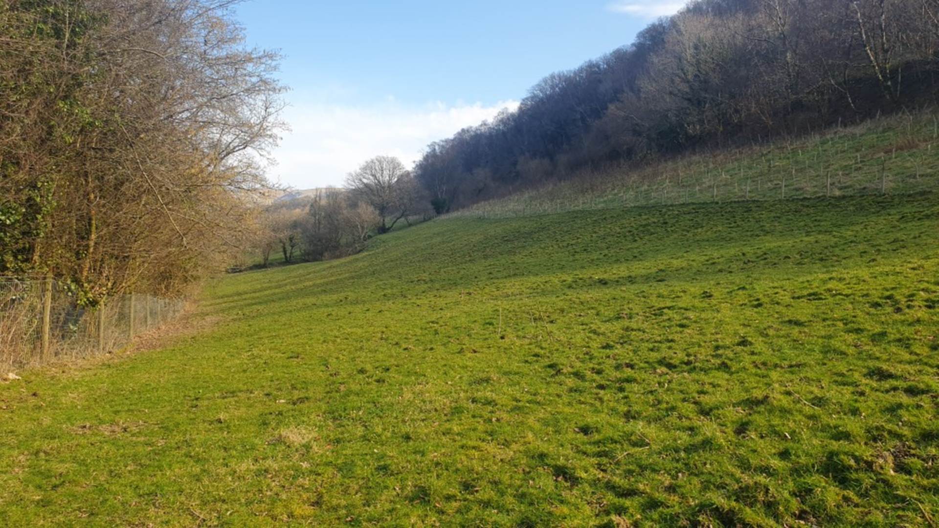 Cemmaes Road, Image 4