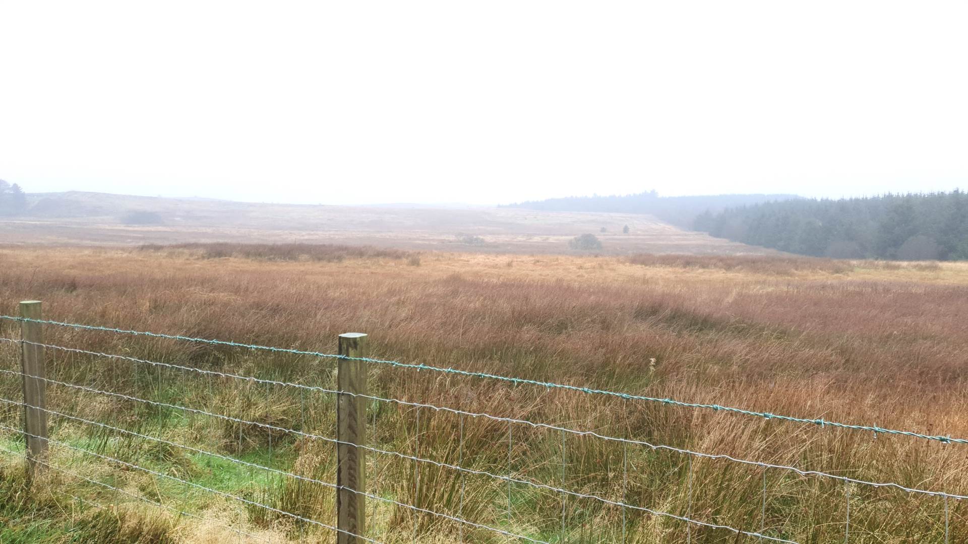 Land At Caermynydd, Bontnewydd, Image 10