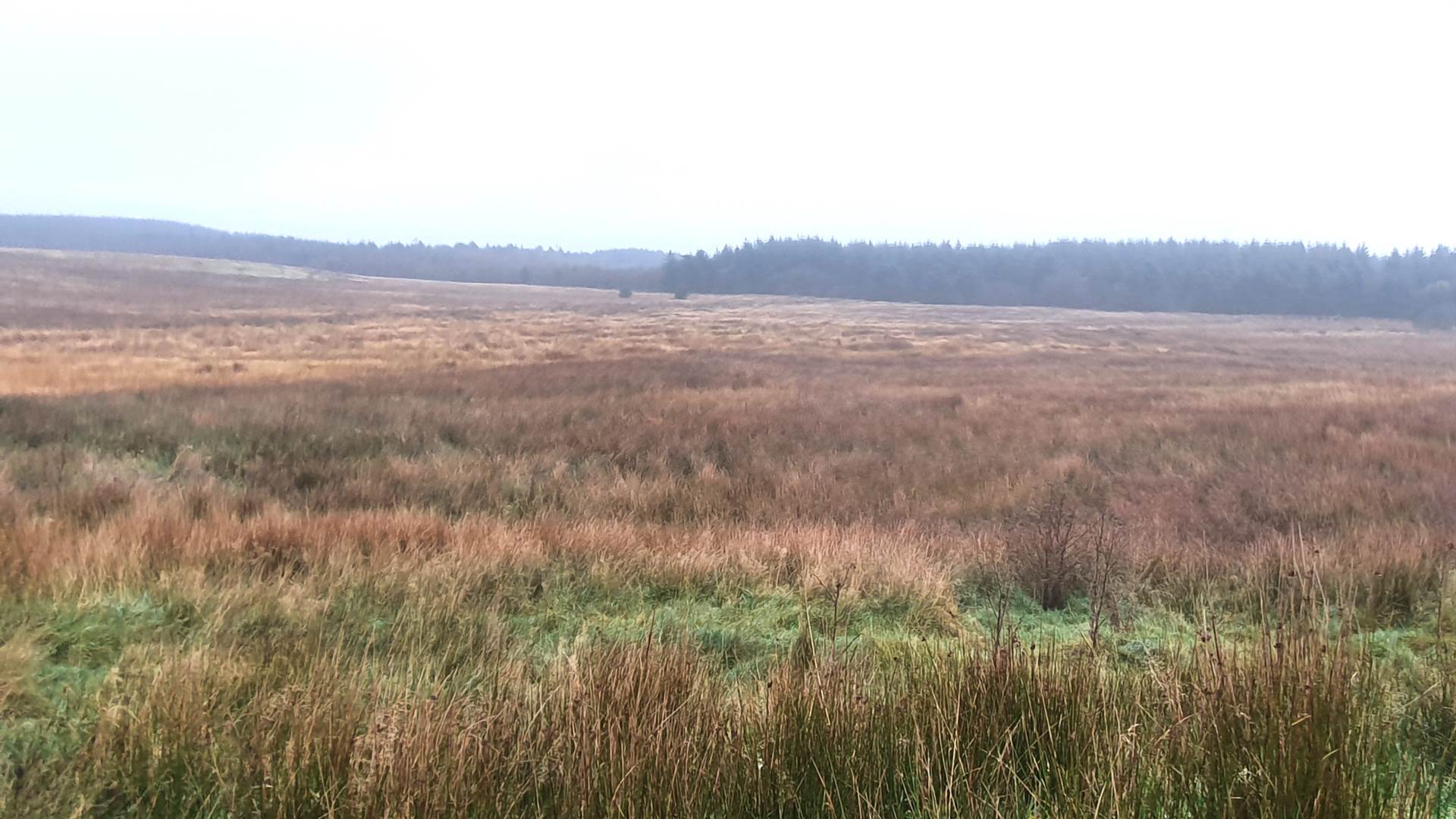 Land At Caermynydd, Bontnewydd, Image 3