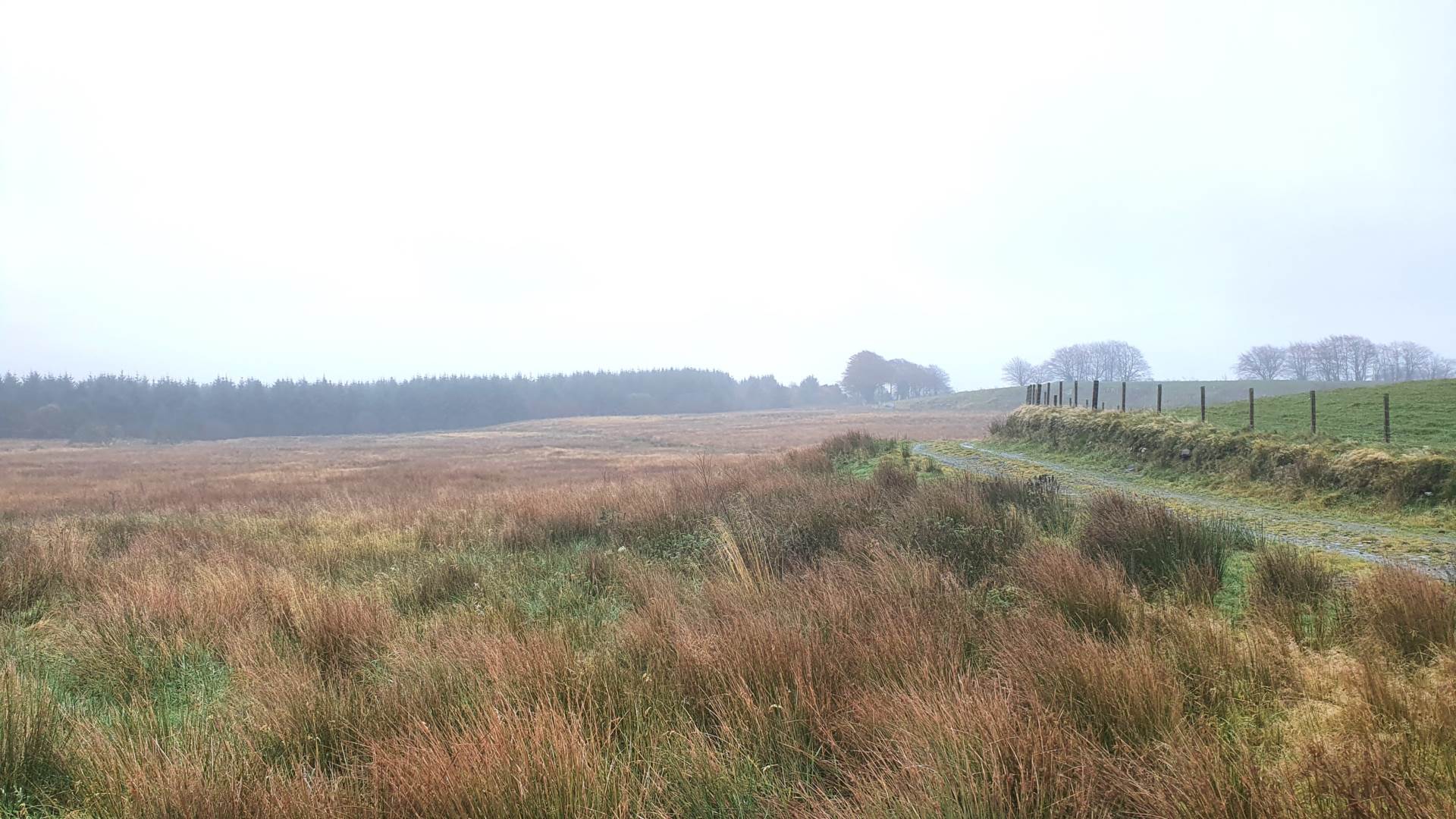Land At Caermynydd, Bontnewydd, Image 4