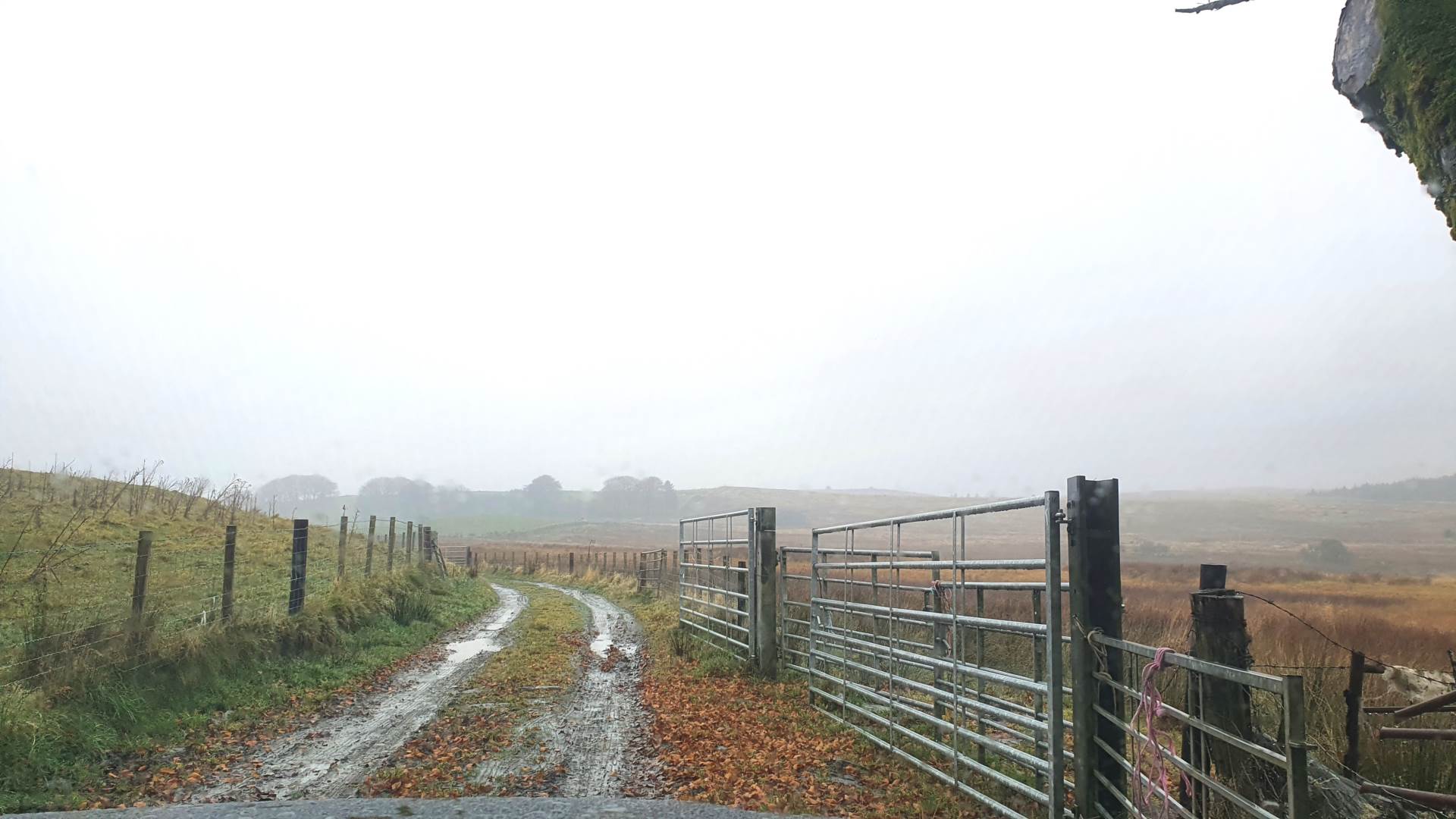 Land At Caermynydd, Bontnewydd, Image 5