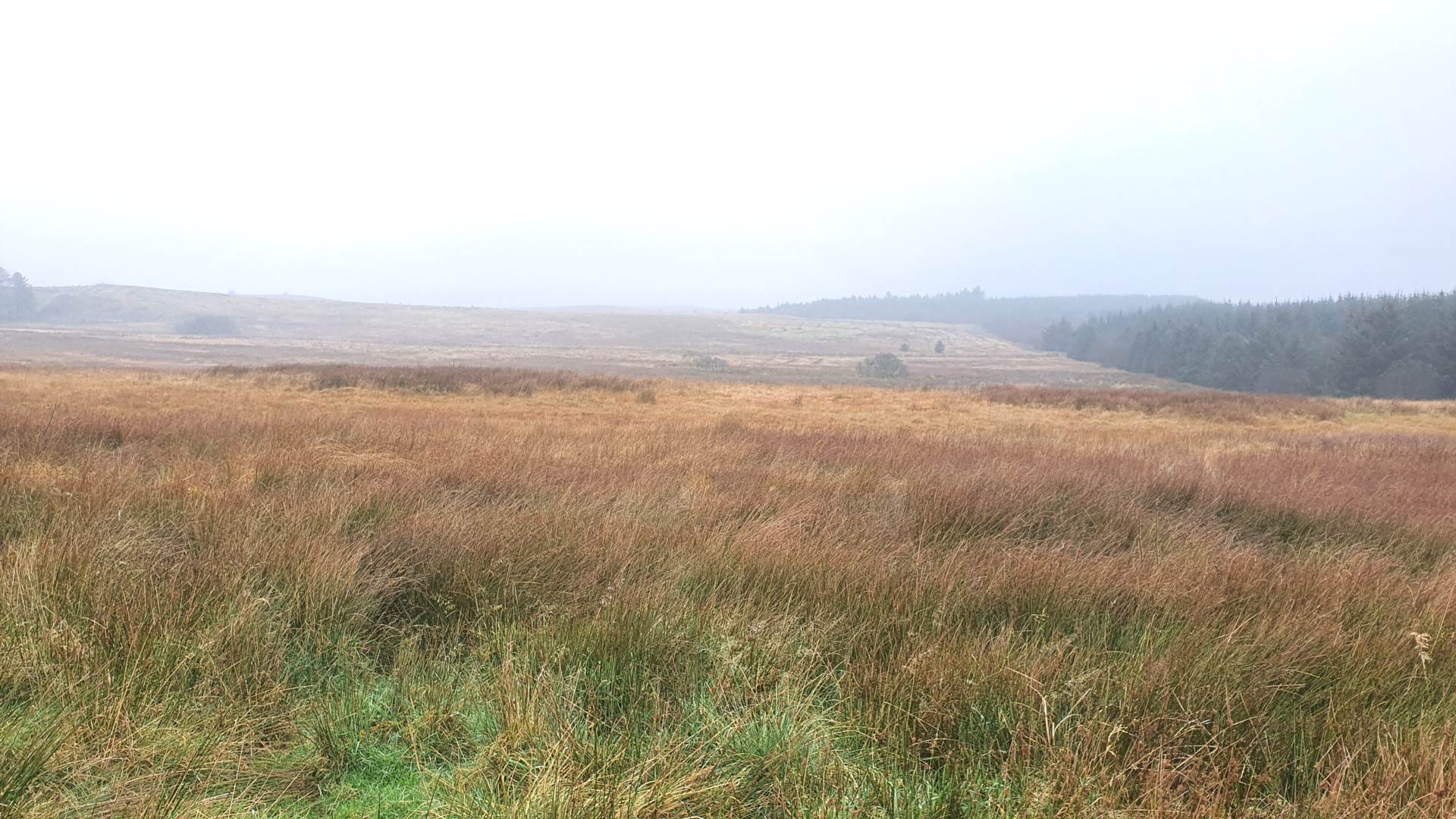 Land At Caermynydd, Bontnewydd, Image 6