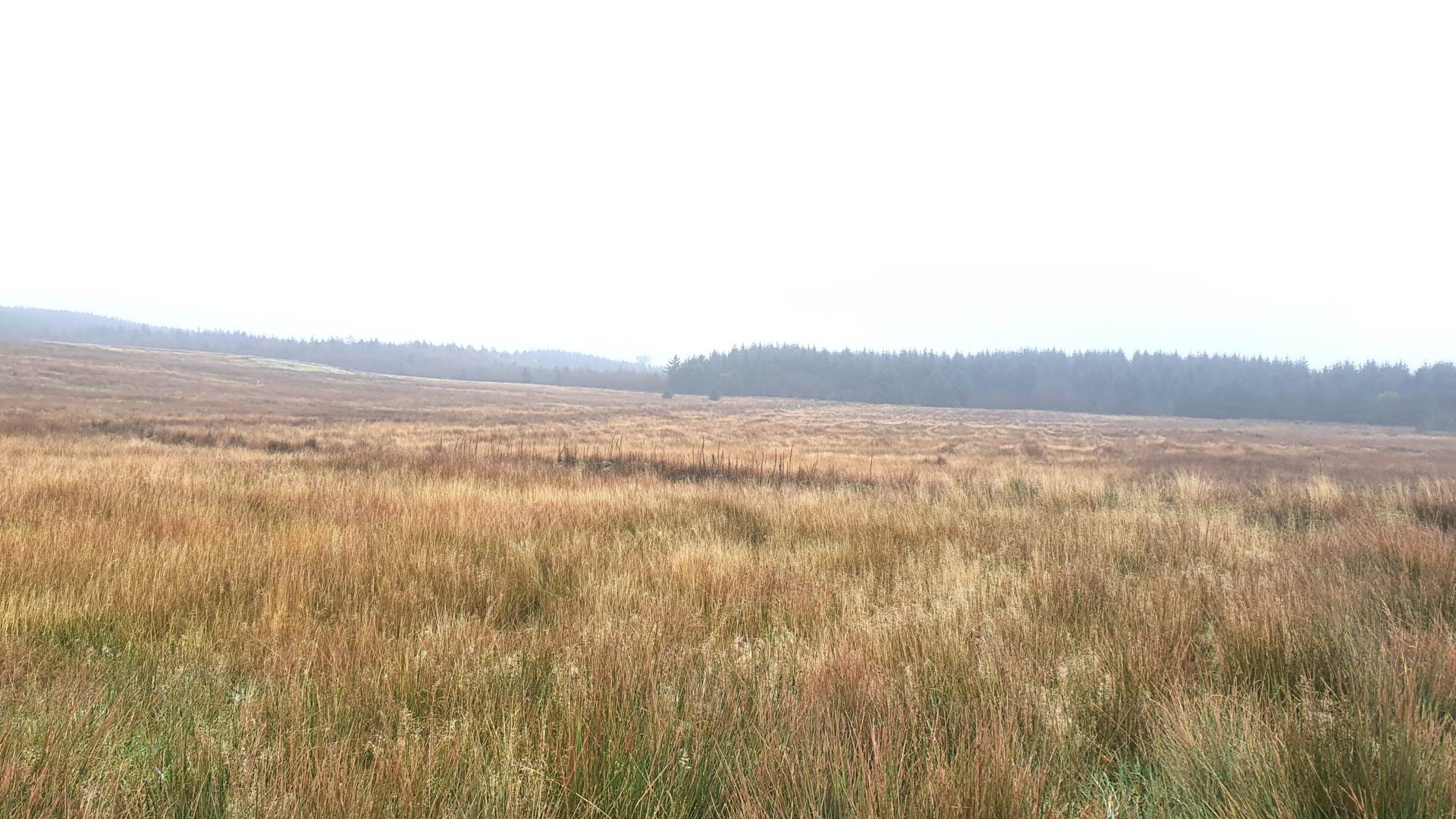 Land At Caermynydd, Bontnewydd, Image 7