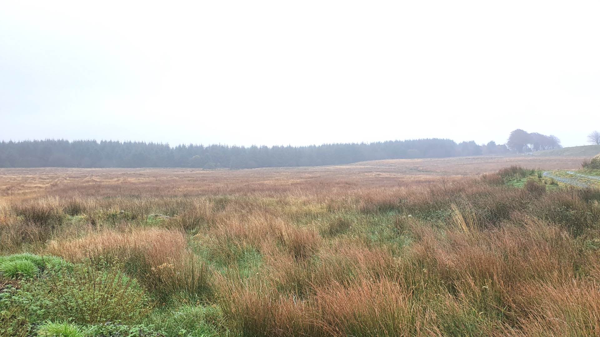 Land At Caermynydd, Bontnewydd, Image 8