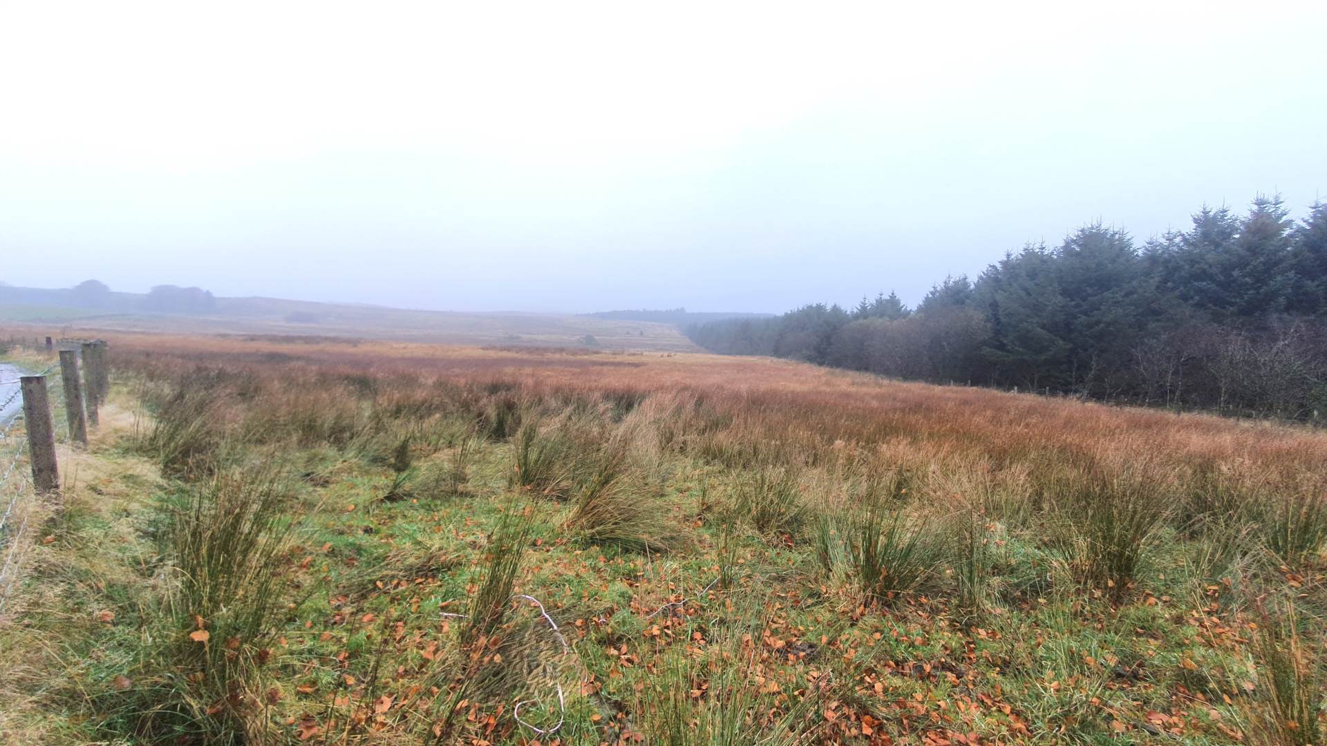 Land At Caermynydd, Bontnewydd, Image 9