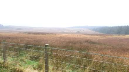 Land At Caermynydd, Bontnewydd, Image 10