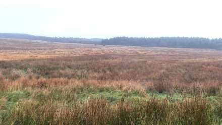 Land At Caermynydd, Bontnewydd, Image 3