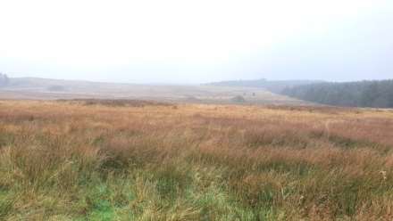 Land At Caermynydd, Bontnewydd, Image 6