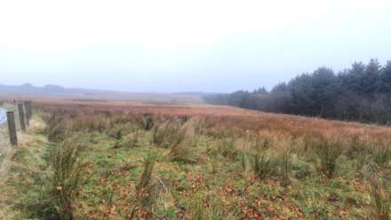 Land At Caermynydd, Bontnewydd, Image 9