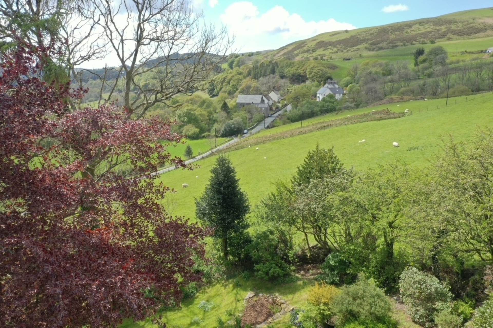 Cwmystwyth, Aberystwyth, Image 15