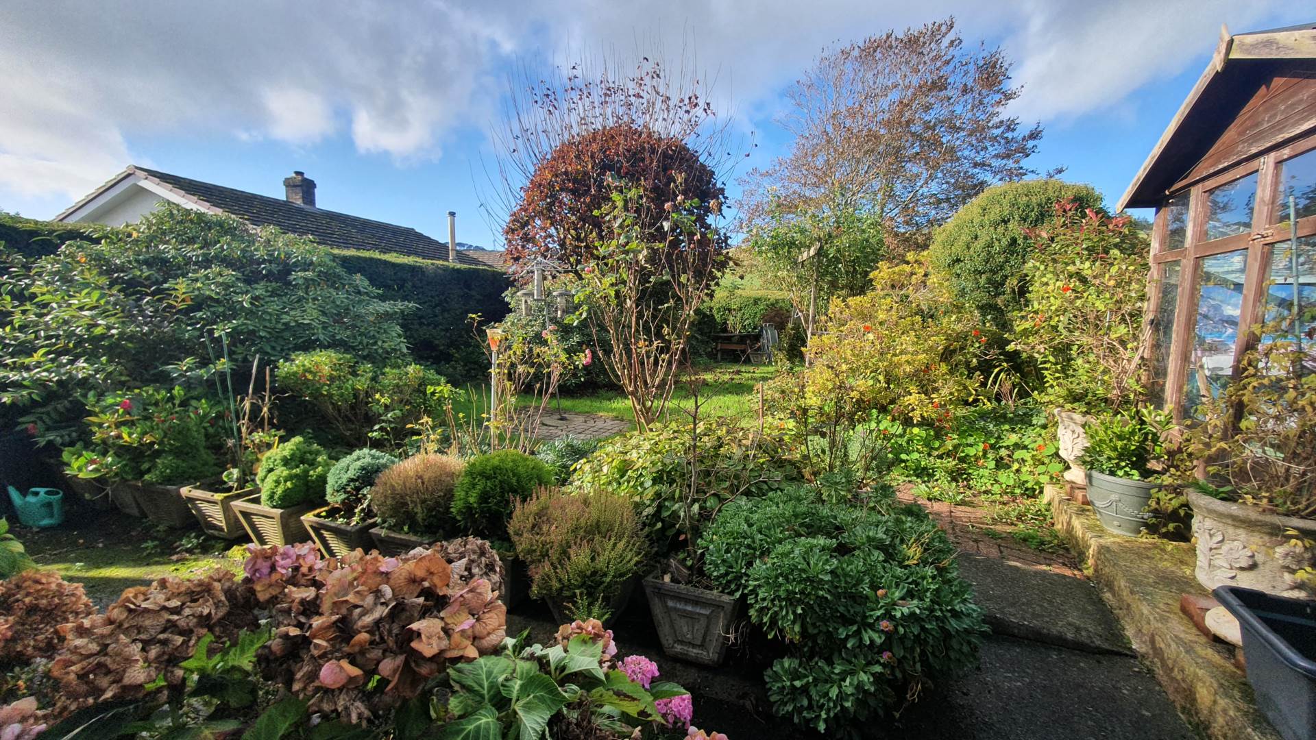 Penrhyncoch, Image 23