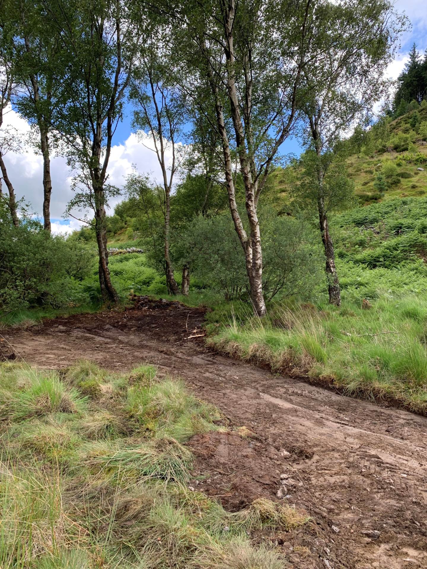 Upper Corris, Machynlleth, Image 7