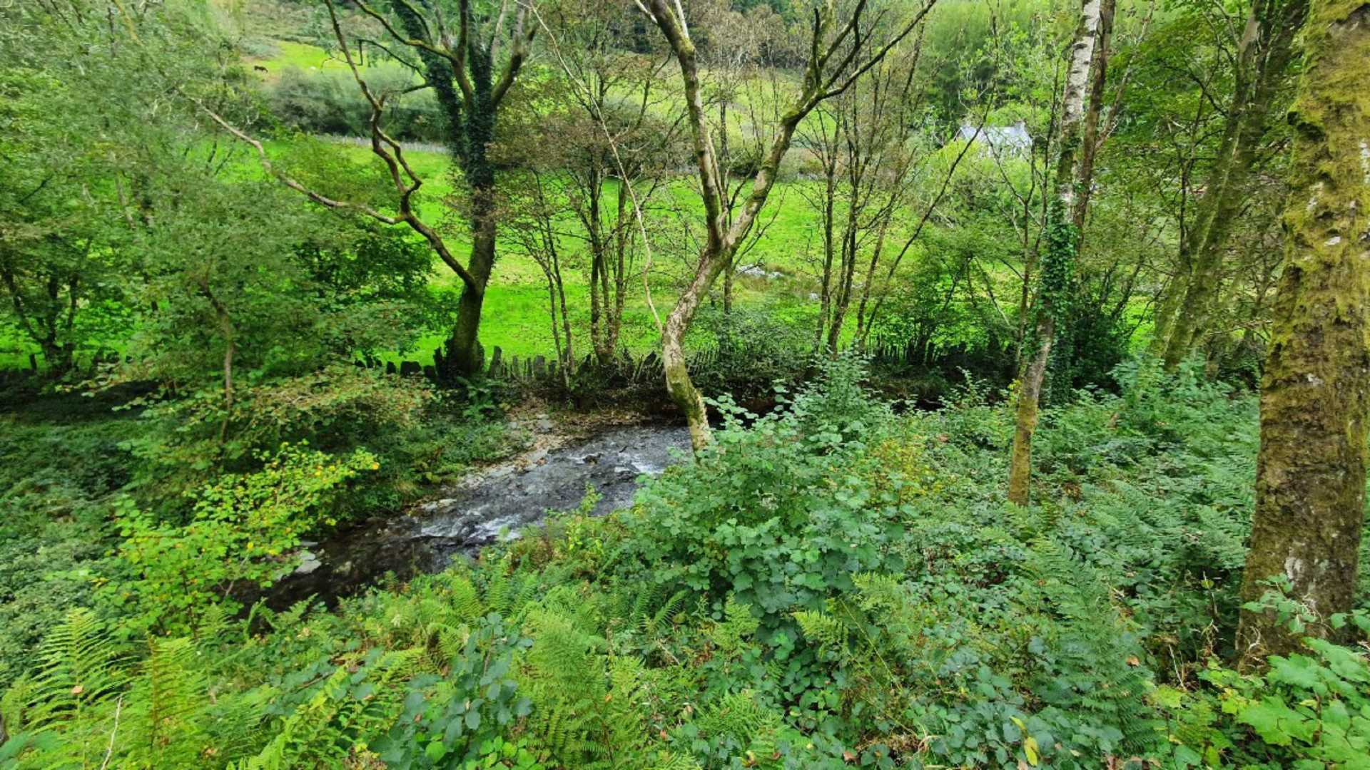 Upper Corris, Machynlleth, Image 14
