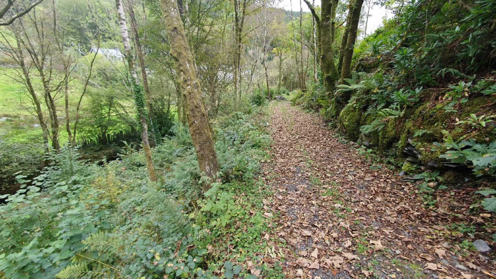 Upper Corris, Machynlleth, Image 17