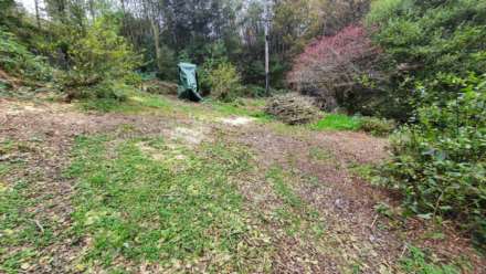 Upper Corris, Machynlleth, Image 18