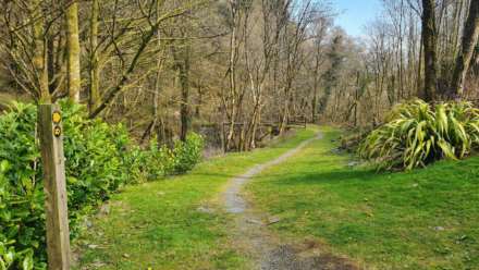 Upper Corris, Machynlleth, Image 20