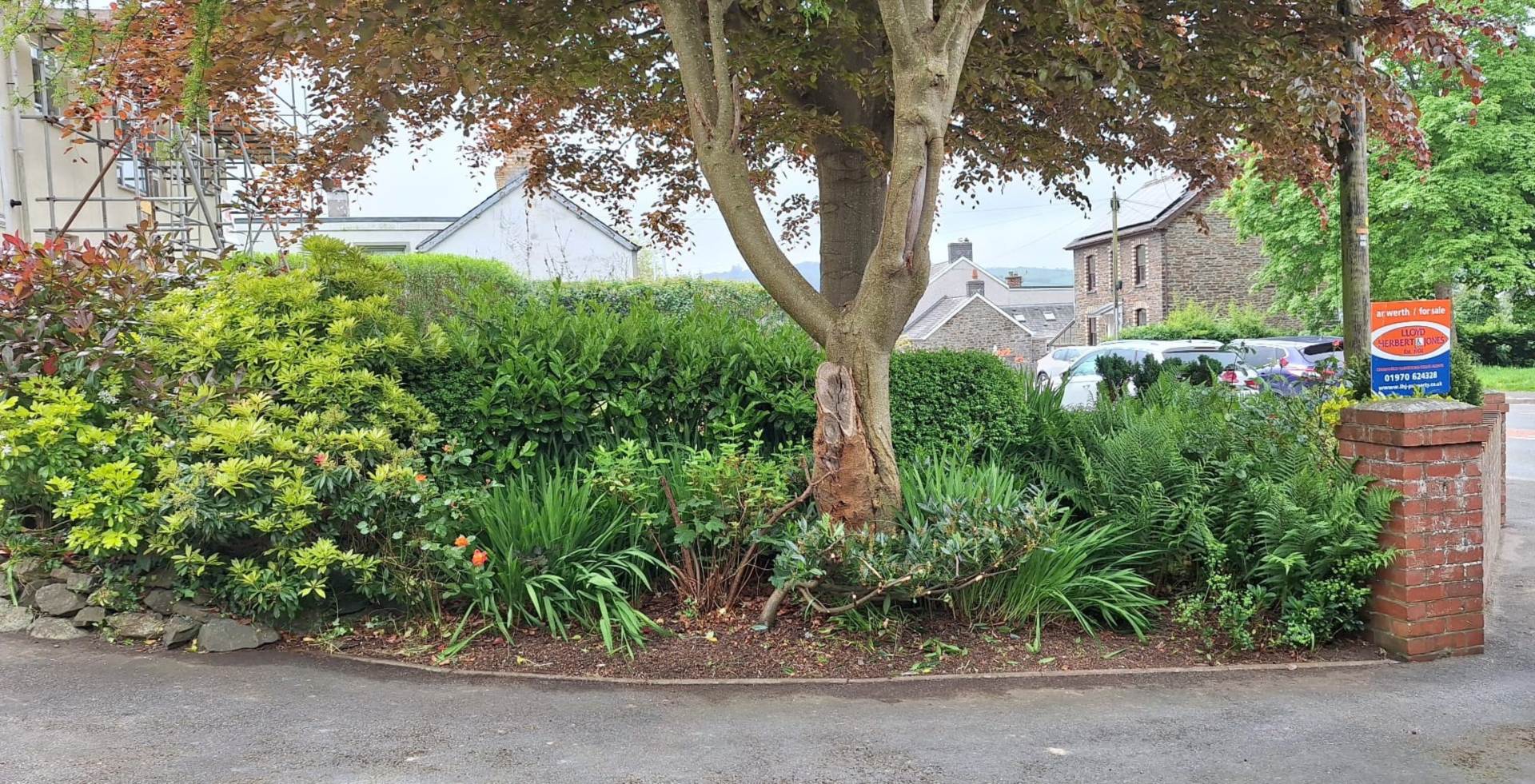 Bow Street, Aberystwyth, Image 14
