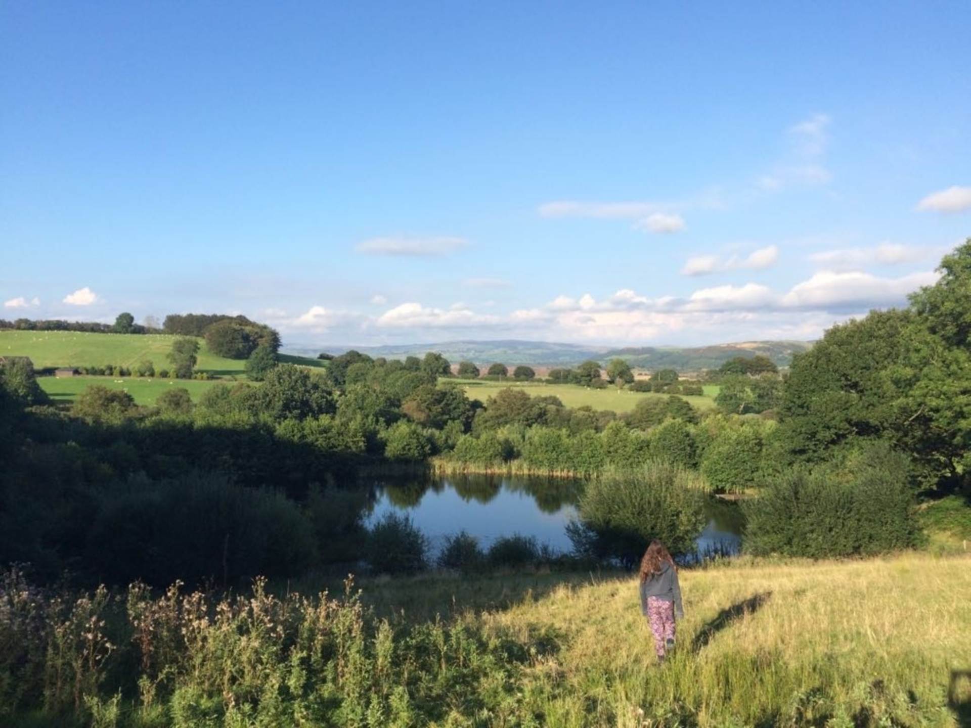 Tynreithyn, Tregaron, Image 33