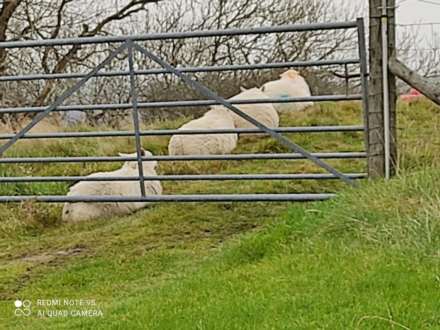 Tynreithyn, Tregaron, Image 34